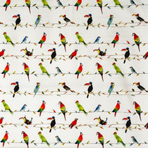 Toucan Talk Paintbox Pillows