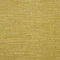 Moray Citron Cushions Moray Citron Cushions