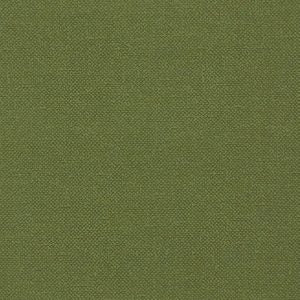 Renzo Velvet Forest Samples