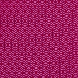 Vibe Velvet Vivacious Curtains