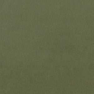 Lucca Herb Samples