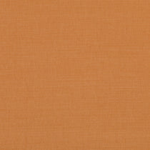 Linara Pumpkin Roman Blinds