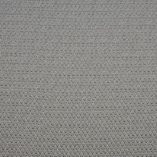 Adriana Silver Curtains