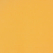 Core Sunrise Cushions Core Sunrise Cushions