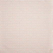 Zap Bon Bon Cushions Zap Bon Bon Cushions