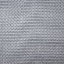 Asteroid Silver Curtains Asteroid Silver Curtains