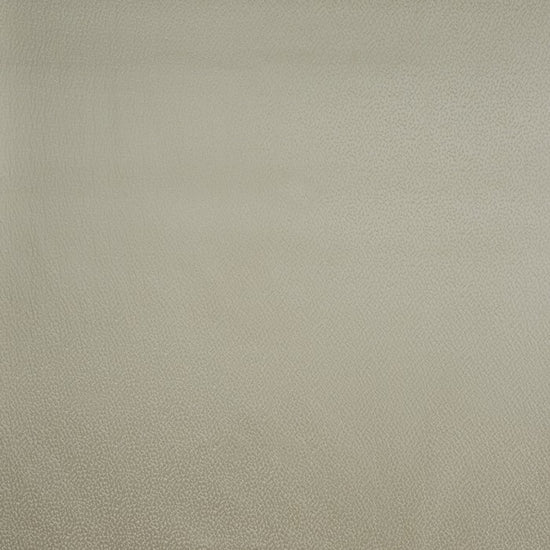 Crater Ivory Samples