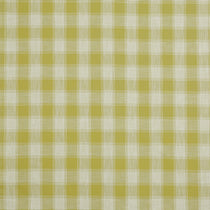 Portland Citron Tablecloths