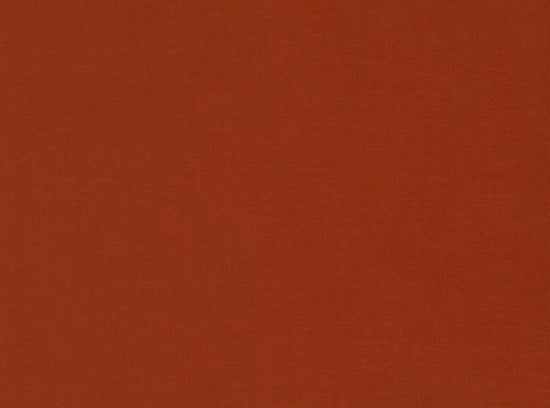 Atlantis Chenille Flame V3078 59 Samples
