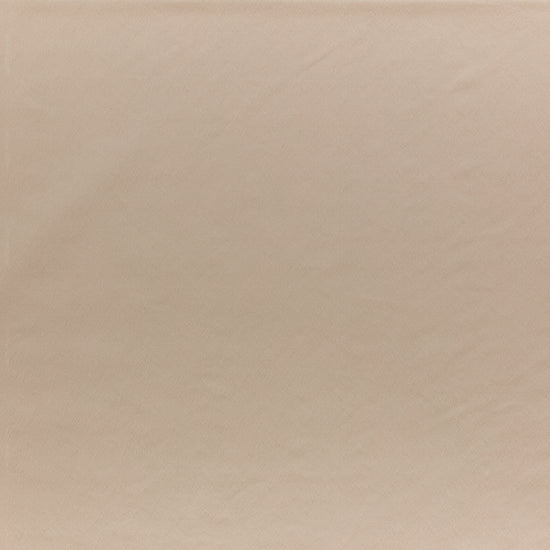 Ezra Orchid Samples