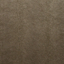 Allegra Velvet Otter Curtains