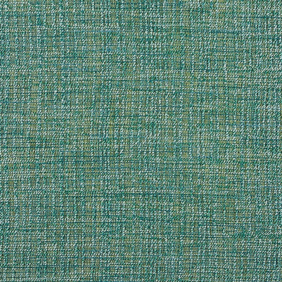 Dolores Chameleon Pillows