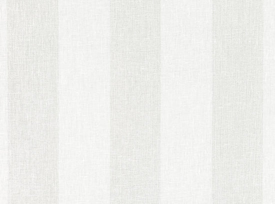 Della Feather Grey Sheer Voile Fabric by the Metre