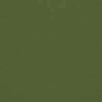Omari Velvet Grass Fabric by the Metre Omari Velvet Grass Fabric by the Metre