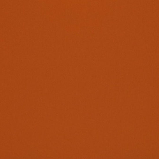Omari Velvet Nectarine Curtains