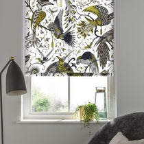 Audubon Gold Roller Blinds