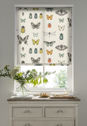 Papilio Mineral Roller Blinds