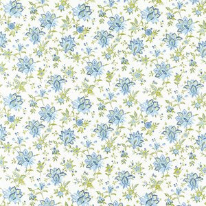 Ornella Denim Samples