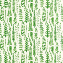 Ferns Juniper 121031 Cushions