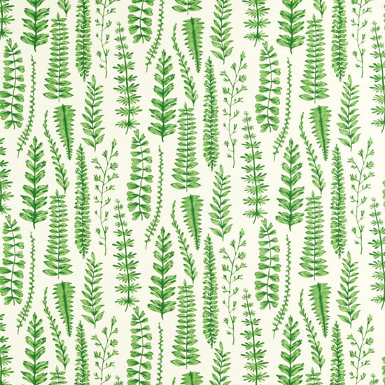 Ferns Juniper 121031 Apex Curtains