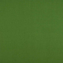 Cole Fern Roman Blinds Cole Fern Roman Blinds