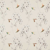 Amazilia Ecru 120980 Fabric by the Metre