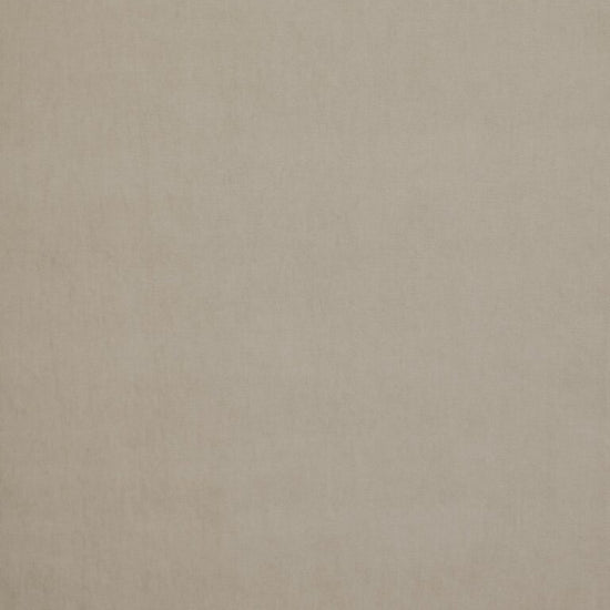 Arezzo Dove Samples