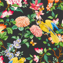 Golden Parrot Noir Wallpapers