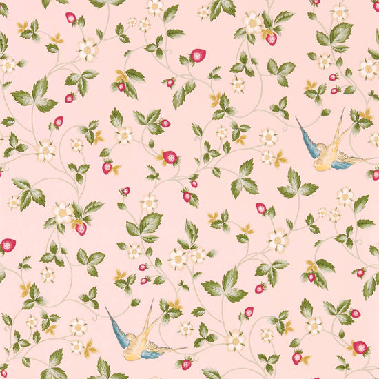 Wild Strawberry Blush Wallpapers