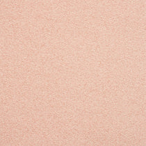 Lux Boucle Blush Curtains