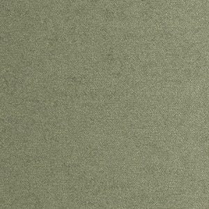 Velvet Revolution Mossy Curtains