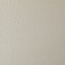 Taurus Champagne Cushions