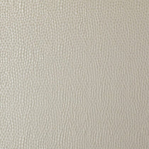 Taurus Champagne Roman Blinds