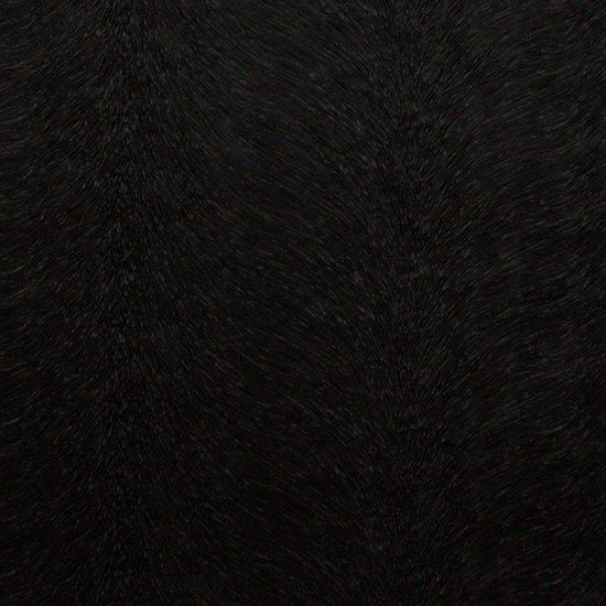 Allegra Coal Roman Blinds
