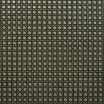 Enos Fern Roman Blinds