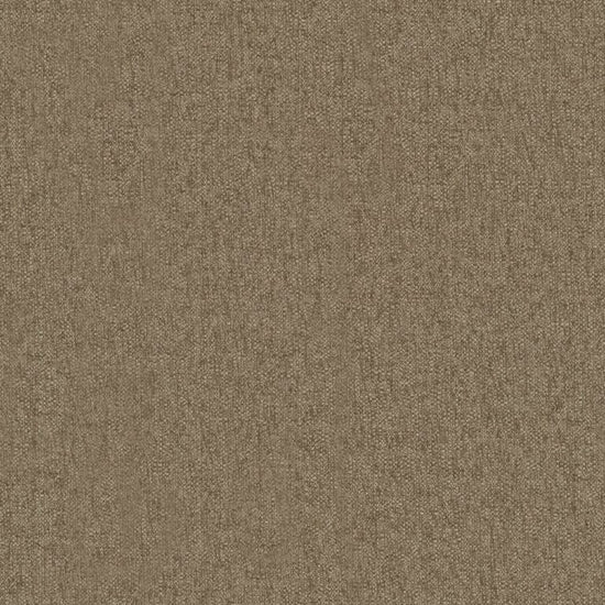 Ashari Fawn Samples