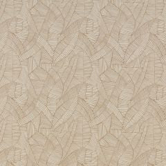 Definity Stone Samples