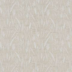 Sea Grasses Clay Roman Blinds