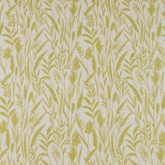 Wild Grasses Citrus Fabric by the Metre