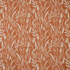 Wild Grasses Clementine Apex Curtains