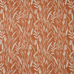 Wild Grasses Clementine Curtains