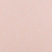 Daylily-Peach-Melba Cushions
