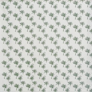 Little Palm Fern Samples