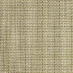 Mais Mint Curtains