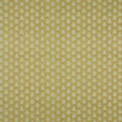 Indo Pistachio Fabric by the Metre