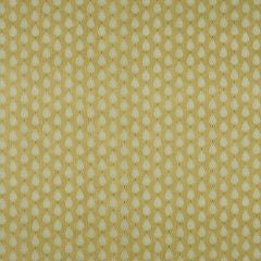 Indo Pistachio Fabric by the Metre