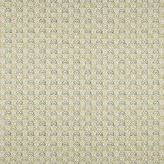 Pushkar Pisachio Apex Curtains