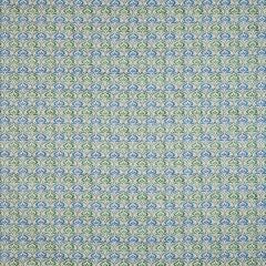Pushkar Topaz Curtains