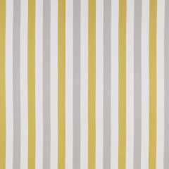 Lowell Citrus Curtains