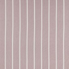 Waterbury Grape Apex Curtains